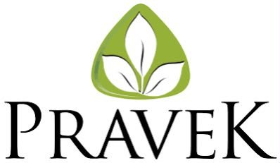 Pravek